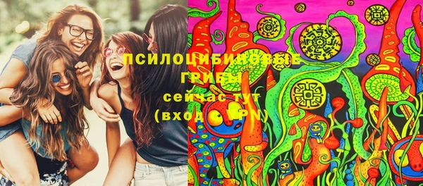 бутират Алексеевка