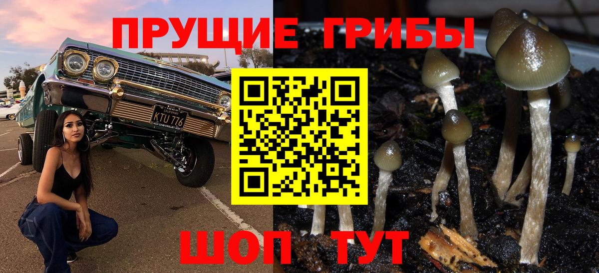 купить закладку  Вход с VPN  Галлюциногенные грибы Magic Shrooms  Минусинск  Псилоцибиновые грибы Magic Shrooms 